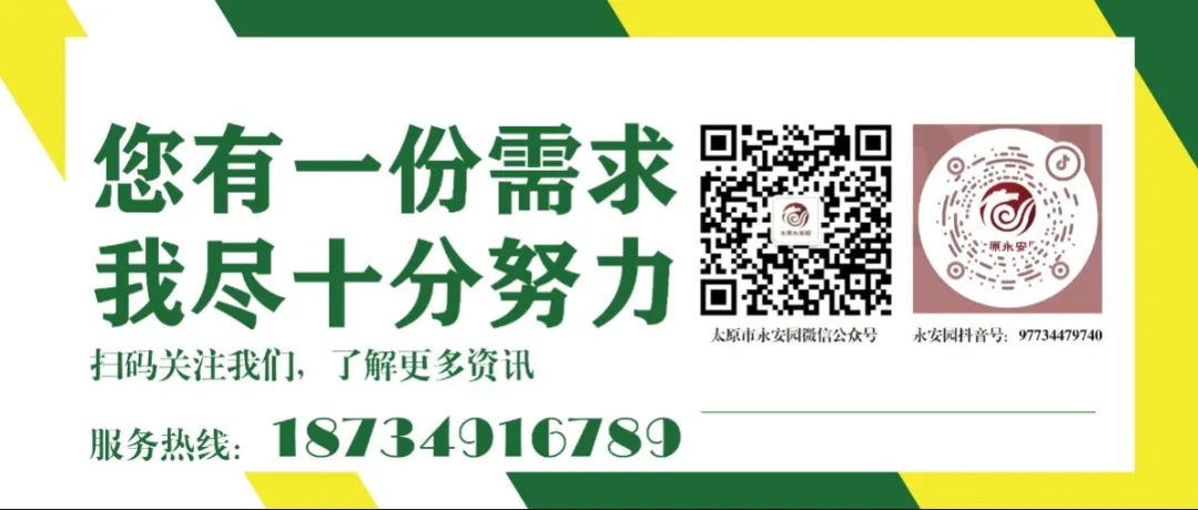 asiagame(中国区)官方网站