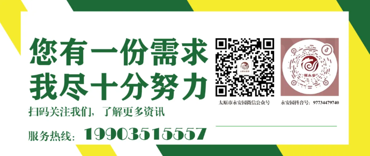 asiagame(中国区)官方网站